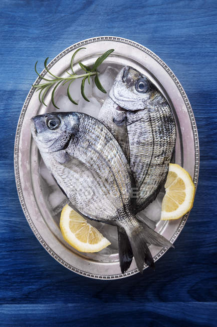 Dos pescados frescos con limón y romero - foto de stock