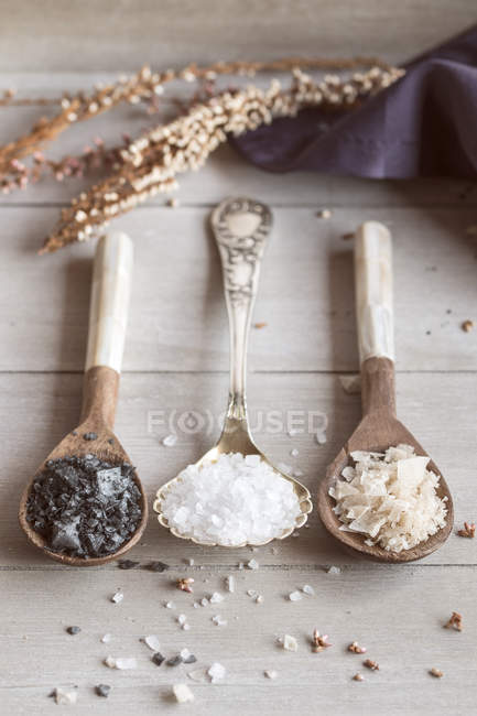 Diferentes tipos de alimentos sal grosso — Fotografia de Stock