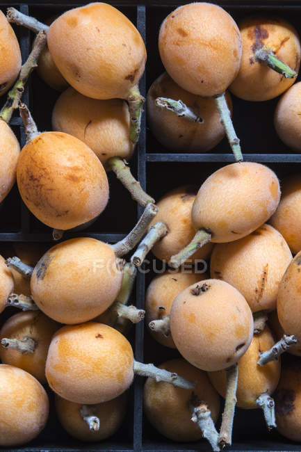 Frutas de alcatrão frescas — Fotografia de Stock