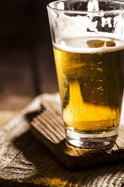 Stout beer in glass — Stock Photo