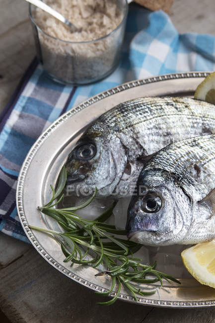Dos pescados frescos con limón y romero - foto de stock
