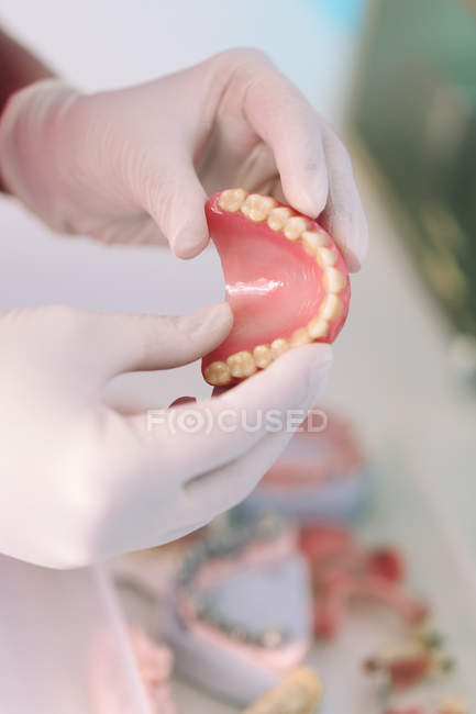Crop dentist's hands holding artificial teeth model — Stock Photo