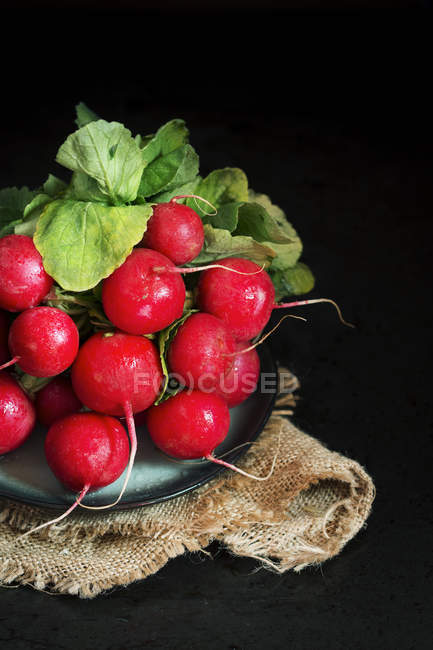 Mazzo di ravanelli freschi — Foto stock