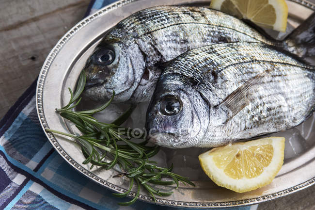 Dois peixes frescos com limão e alecrim — Fotografia de Stock