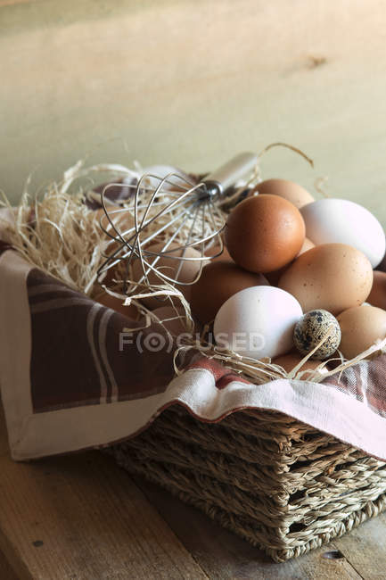Différents types d'œufs crus — Photo de stock