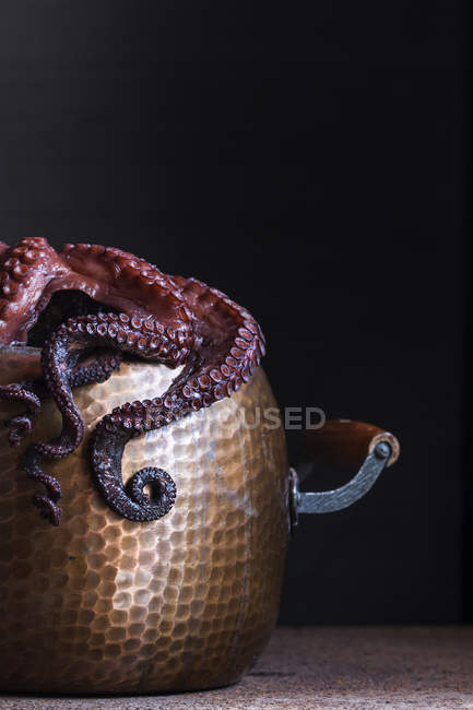 Boiled octopus in stewpan — Stock Photo