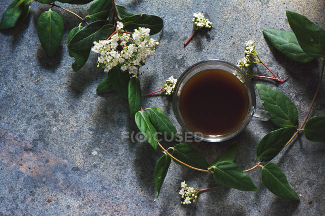 Tasse de café avec des feuilles et des fleurs — Photo de stock