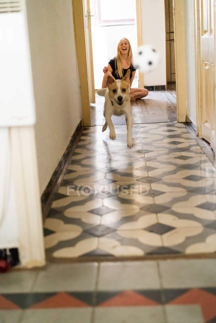 Woman playing with dog — Stock Photo