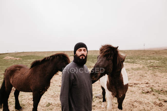 Man stroking icelandic wild horse — Stock Photo
