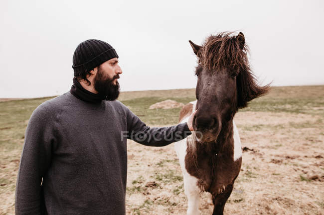 Человек гладит дикую дикую лошадь — стоковое фото