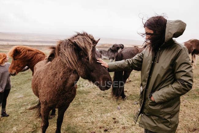 Женщина гладит лошадь на пастбище — стоковое фото