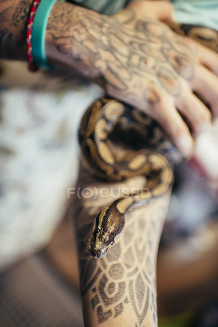 Big scary snake clasping on tattooed wrist — Stock Photo