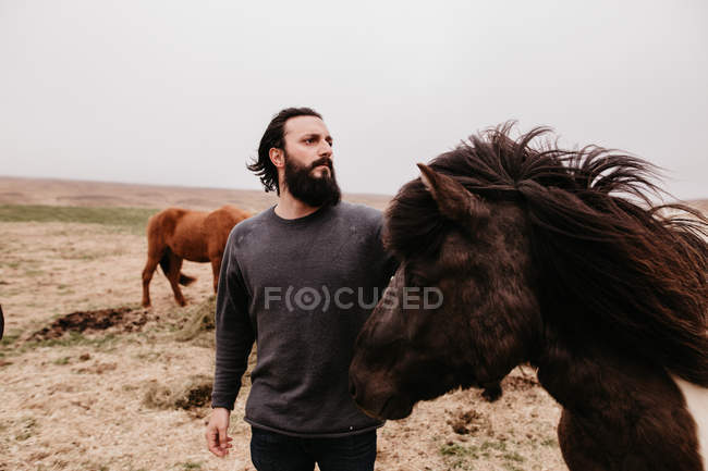 Man stroking icelandic wild horse — Stock Photo