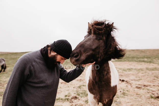 Человек гладит дикую дикую лошадь — стоковое фото