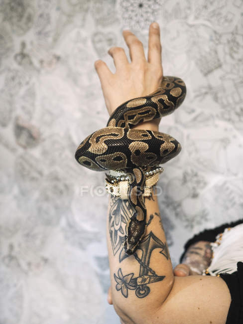 55 Inspiring Snake Tattoos for Both Men and Women  Inspirationfeed