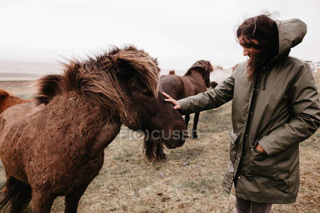 Жінка погладжує коня на пасовищі — стокове фото
