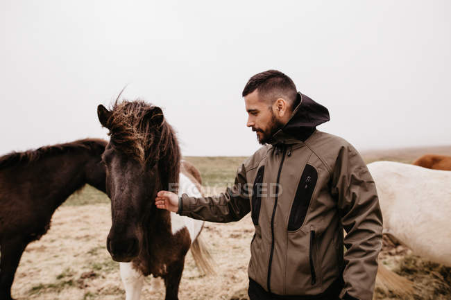 Человек гладит лошадь — стоковое фото
