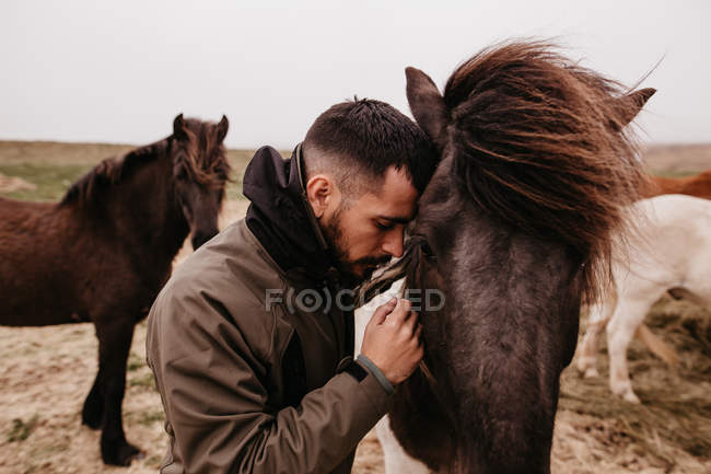 Человек опирается на лошадь — стоковое фото