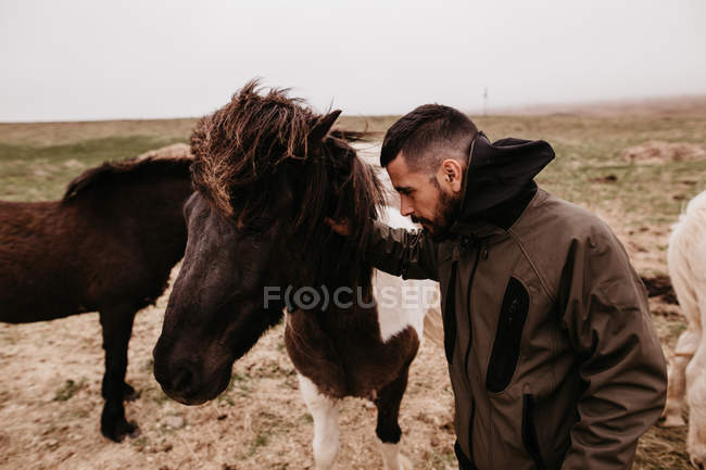 Homem acariciando cavalo — Fotografia de Stock