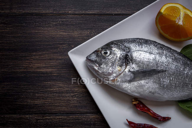 Fresh raw fish with orange and dried chilli peppers on white plate — Stock Photo