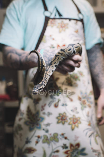 Tätowierter Mann mit Schürze hält große Schlange. — Stockfoto