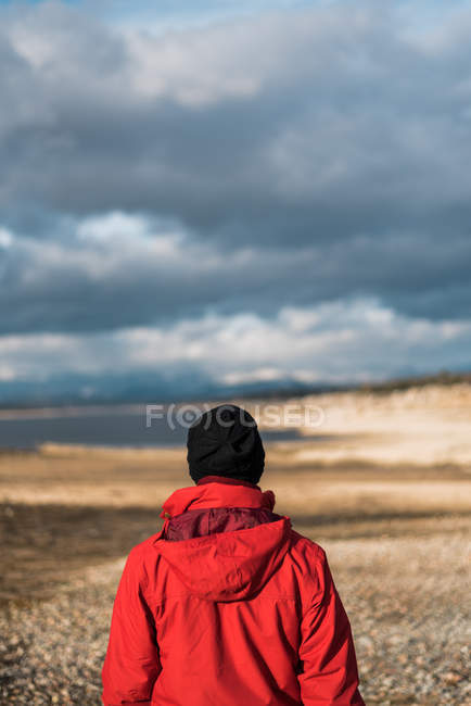 Вид сзади человека на пейзаж — стоковое фото