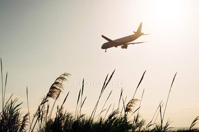 Avião voando no céu ensolarado sobre o campo gramado
. — Fotografia de Stock