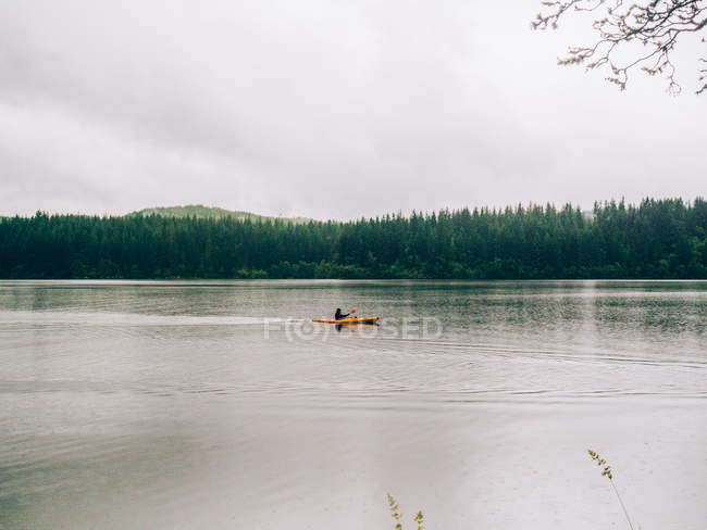 Río bosque con kayak de vela - foto de stock