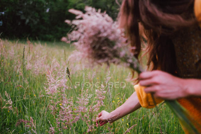 Frau pflückt rustikale Blumen — Stockfoto