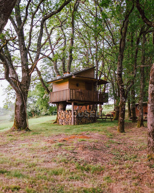Небольшой домик в лесу — стоковое фото