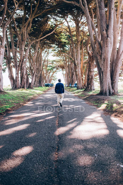 Чоловік ходить дорогою — стокове фото