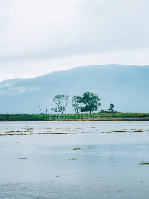 Isola verde con alberi sopra la collina nebbiosa — Foto stock