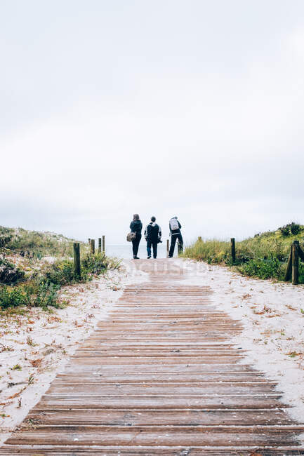 Вид ззаду трьох людей, що стоять на прогулянці і дивляться на океан . — стокове фото