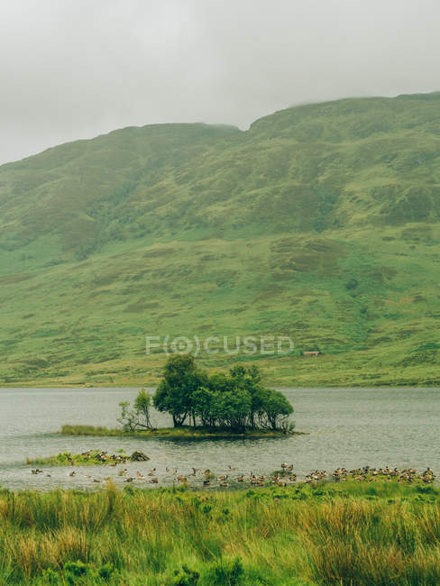 Горное озеро с островом — стоковое фото