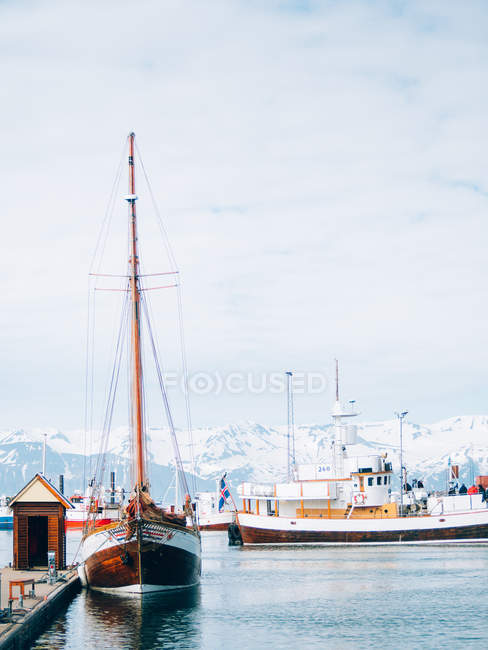 Moored boats in dock — Stock Photo