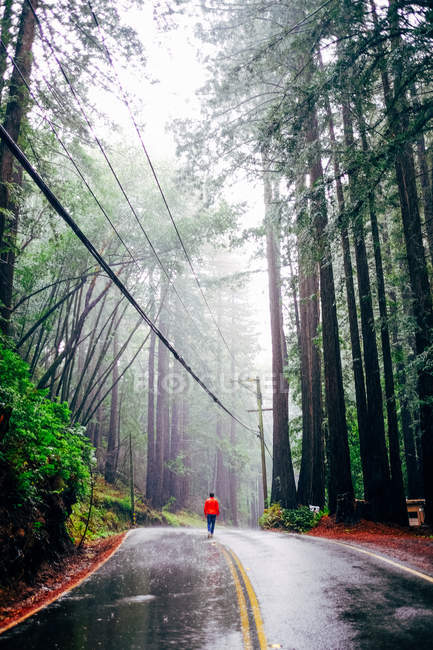 Homem caminhando ao longo da estrada na floresta — Fotografia de Stock