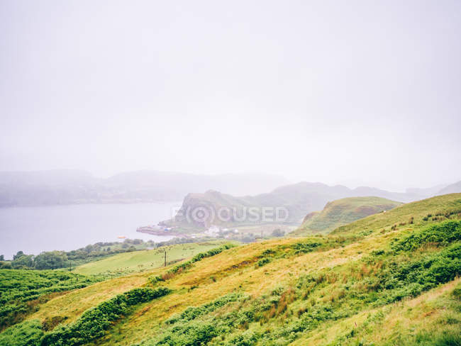 Grüne neblige Hügel — Stockfoto