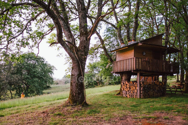 Дерев'яний будинок у лісі — стокове фото