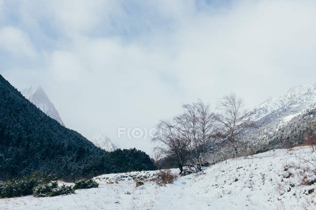 Hermoso paisaje de invierno en los Pirineos - foto de stock