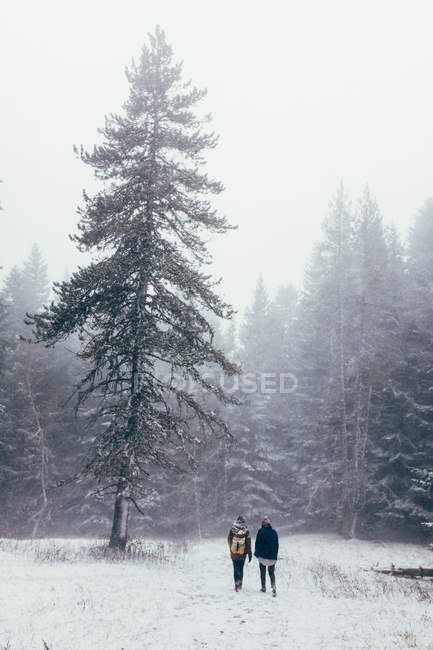 Dos viajeros caminando en el bosque de invierno - foto de stock