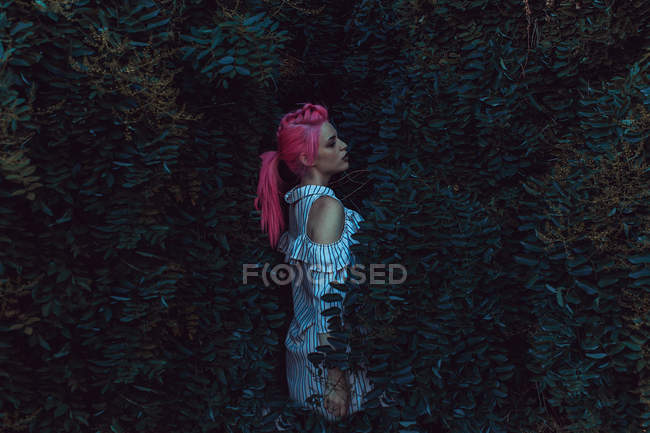 Femme sensuelle dans les buissons — Photo de stock