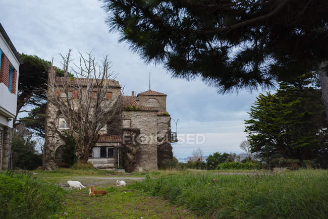 Esterno di casa in pietra in campagna — Foto stock