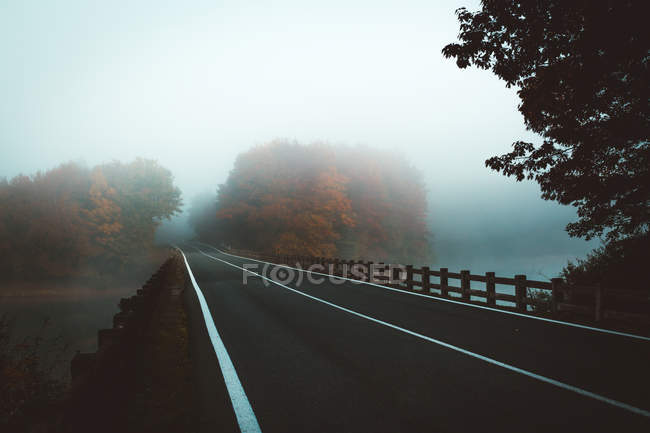 Roadway in misty weather — Stock Photo