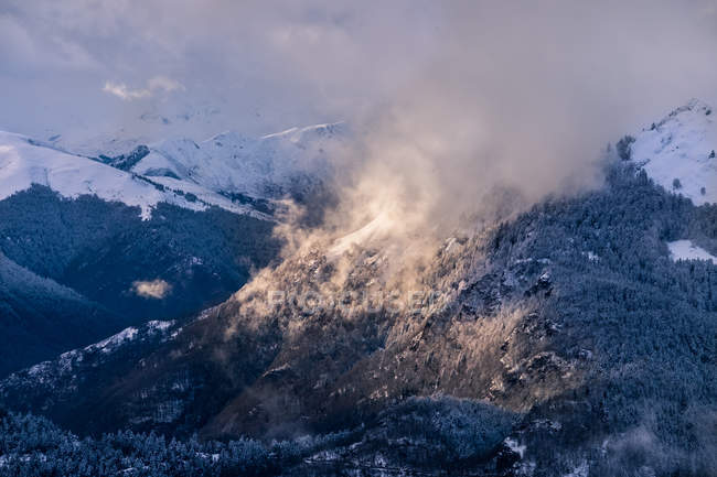 Berg mit Wald bedeckt — Stockfoto