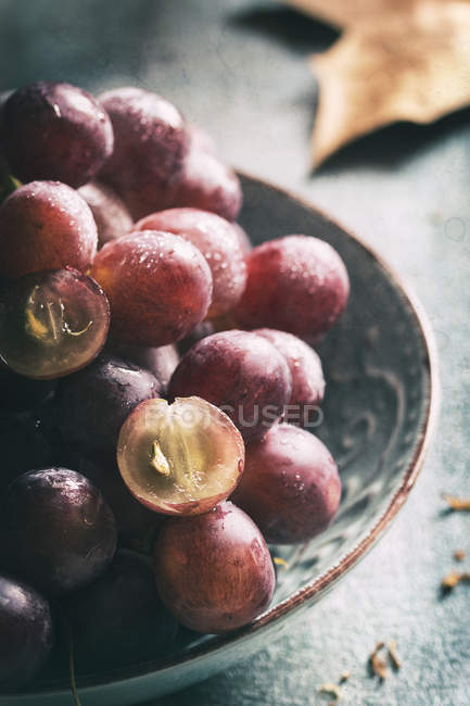 Пурпурный виноград в миске . — стоковое фото