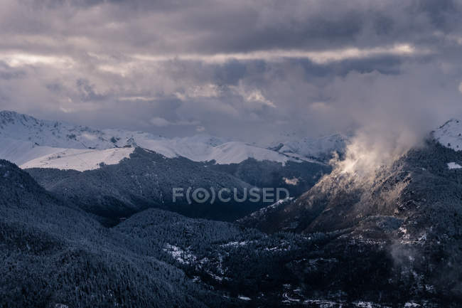 Montagnes brumeuses enneigées avec forêt — Photo de stock