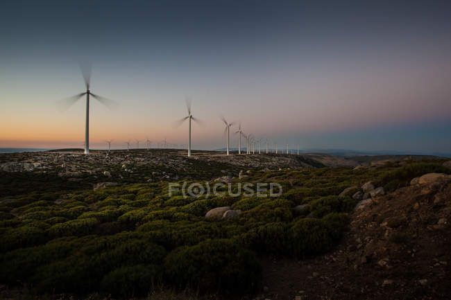 Reihe von Windmühlen bei Sonnenuntergang — Stockfoto