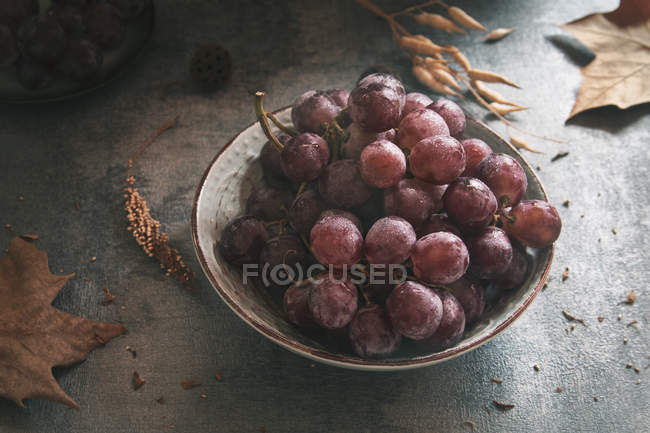 Пурпурный виноград в миске — стоковое фото