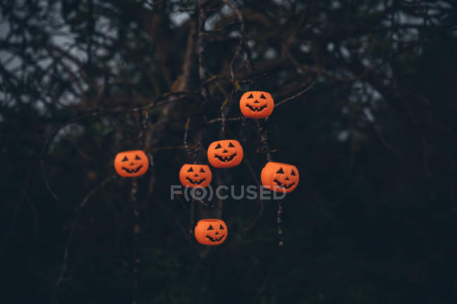 Halloween scary pumpkins hanging on tree. — Stock Photo