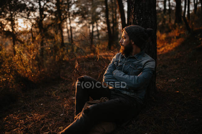 Hombre sentado en el árbol en el bosque y mirando el atardecer . - foto de stock